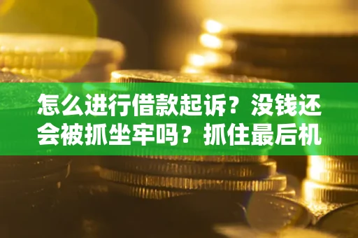 济南怎么进行借款起诉？没钱还会被抓坐牢吗？抓住最后机会！