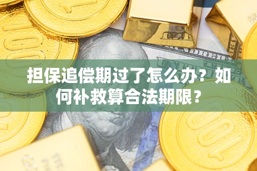 济南担保追偿期过了怎么办？如何补救算合法期限？